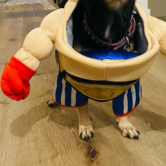 EUC [Halloween Costumes] Pro Boxer + Belt Dog Cat Pet Halloween Costume Sz Small - Picture 9 of 10